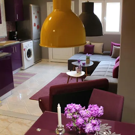 Apartment Lila